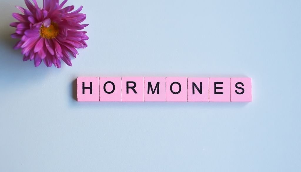 hormones