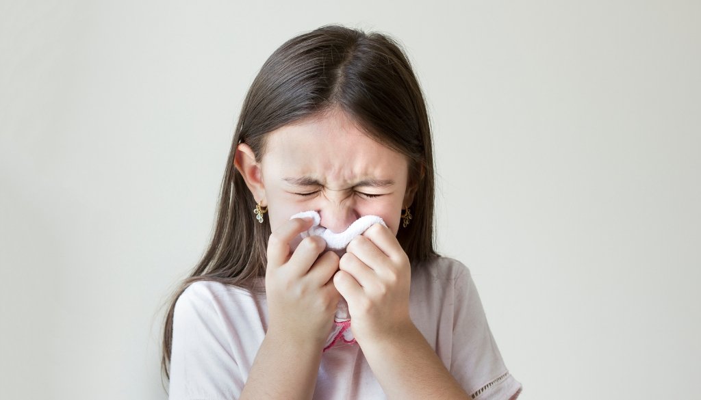 hay fever allergies