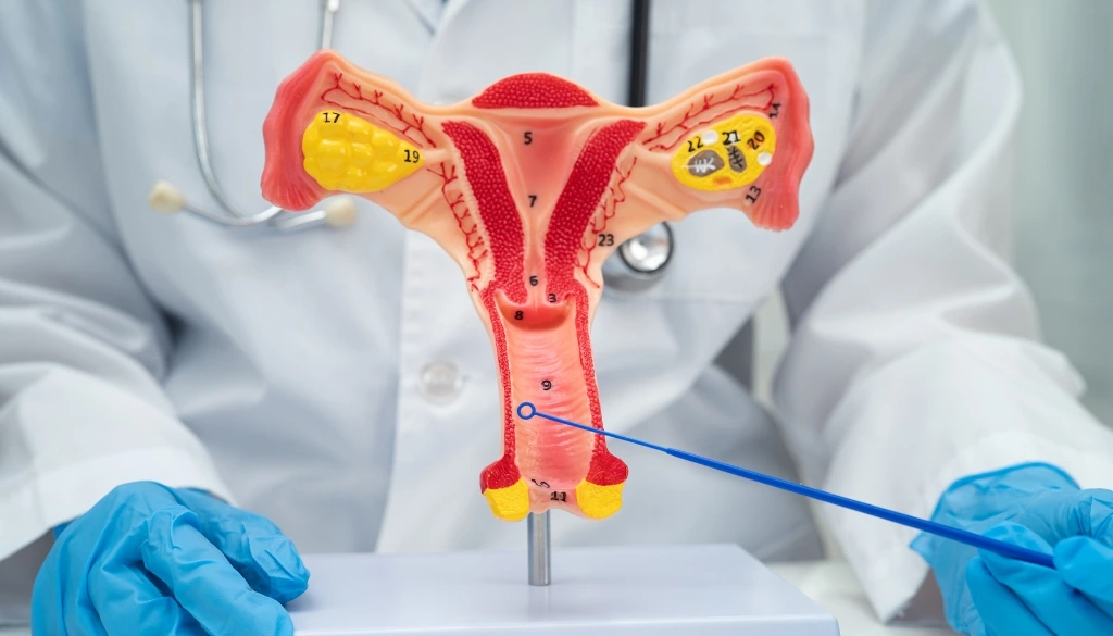 gynecology clinic in sharjah